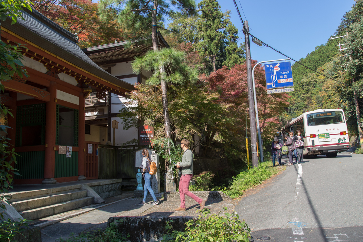 京都観光モデルコース1泊2日 嵐山 金閣寺 清水寺 伏見稲荷を旅行する 京都へ行きたい 京都旅行を楽しむブログ