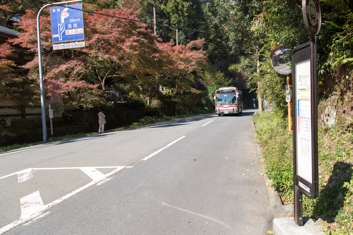 京都観光モデルコース1泊2日 嵐山 金閣寺 清水寺 伏見稲荷を旅行する 京都へ行きたい 京都旅行を楽しむブログ