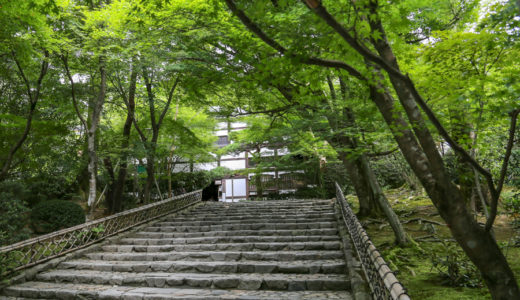 京都の新緑の時期は？有名「青もみじ」スポットをお教えします!!